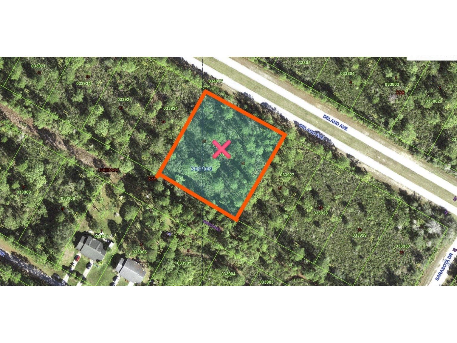 Deland Avenue Indian Lake Estates FL 33855 - LAKE WALK-IN-WATER TB8405453 image10