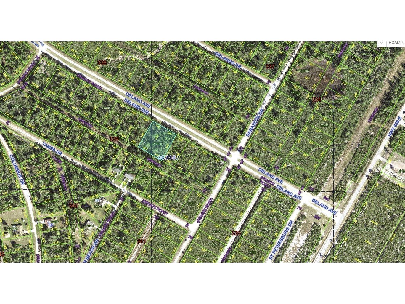 Deland Avenue Indian Lake Estates FL 33855 - LAKE WALK-IN-WATER TB8405453 image11