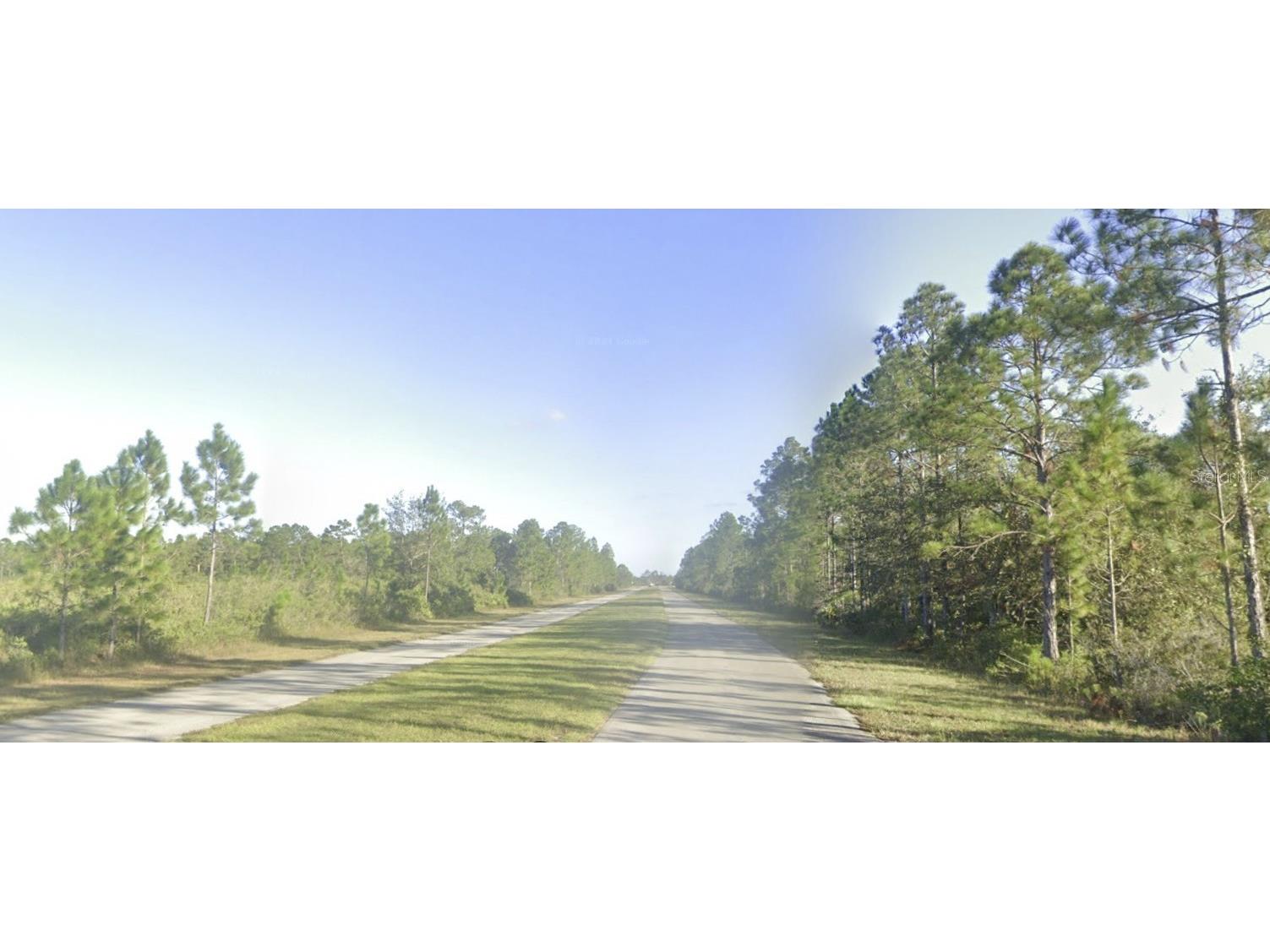 Deland Avenue Indian Lake Estates FL 33855 - LAKE WALK-IN-WATER TB8405453 image5