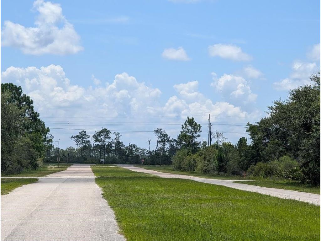 Deland Avenue Indian Lake Estates FL 33855 - LAKE WALK-IN-WATER TB8405453 image6