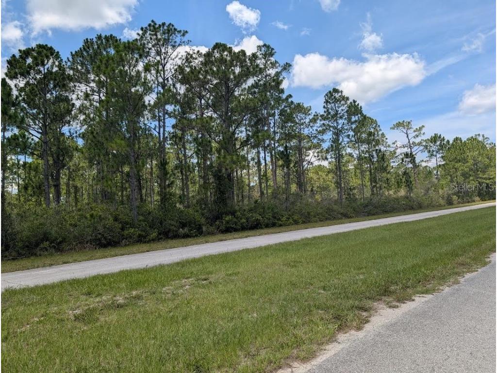 Deland Avenue Indian Lake Estates FL 33855 - LAKE WALK-IN-WATER TB8405453 image7