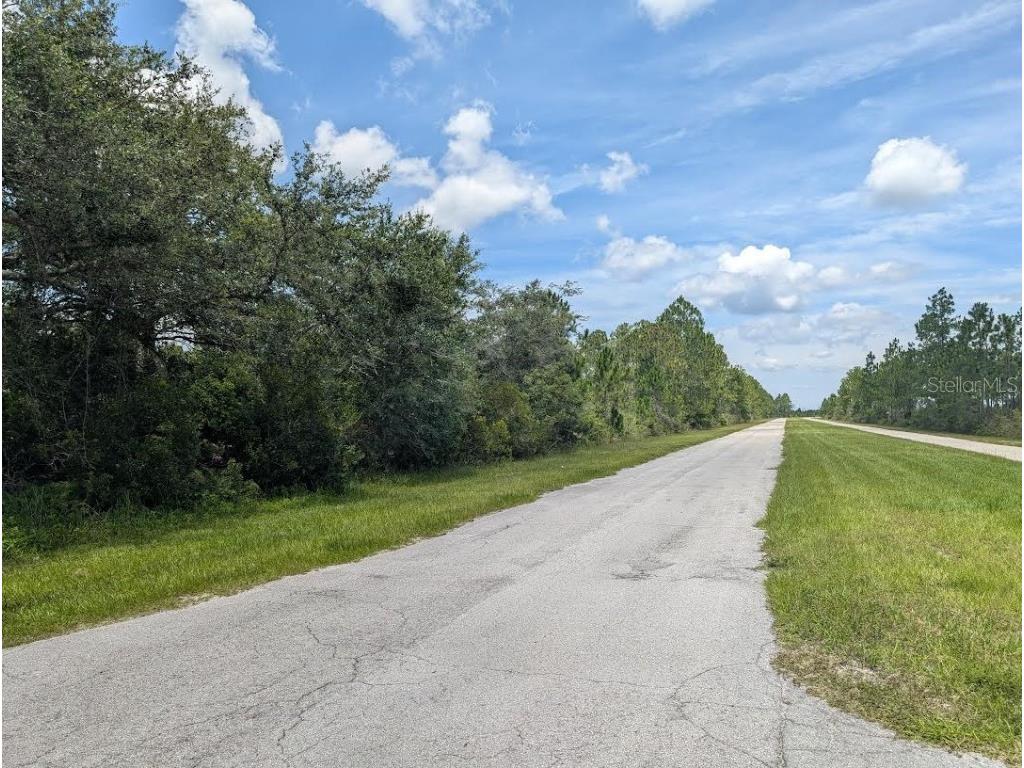 Deland Avenue Indian Lake Estates FL 33855 - LAKE WALK-IN-WATER TB8405453 image8