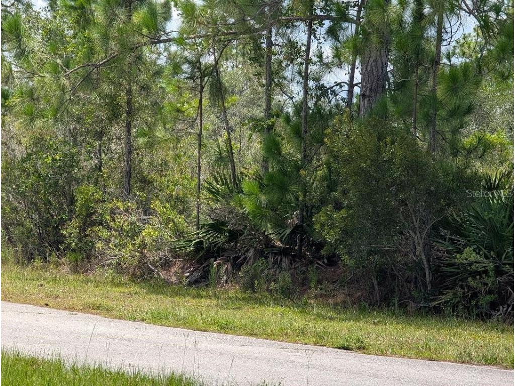 Deland Avenue Indian Lake Estates FL 33855 - LAKE WALK-IN-WATER TB8405453 image9