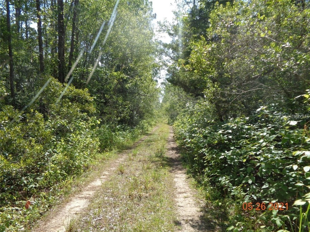 Deland Crossings Deland FL 32724 J991089 image1