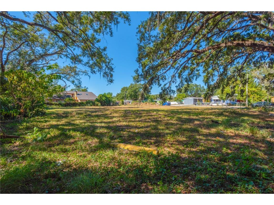 Deleuil Ave Tampa FL 33610 TB8445008 image3