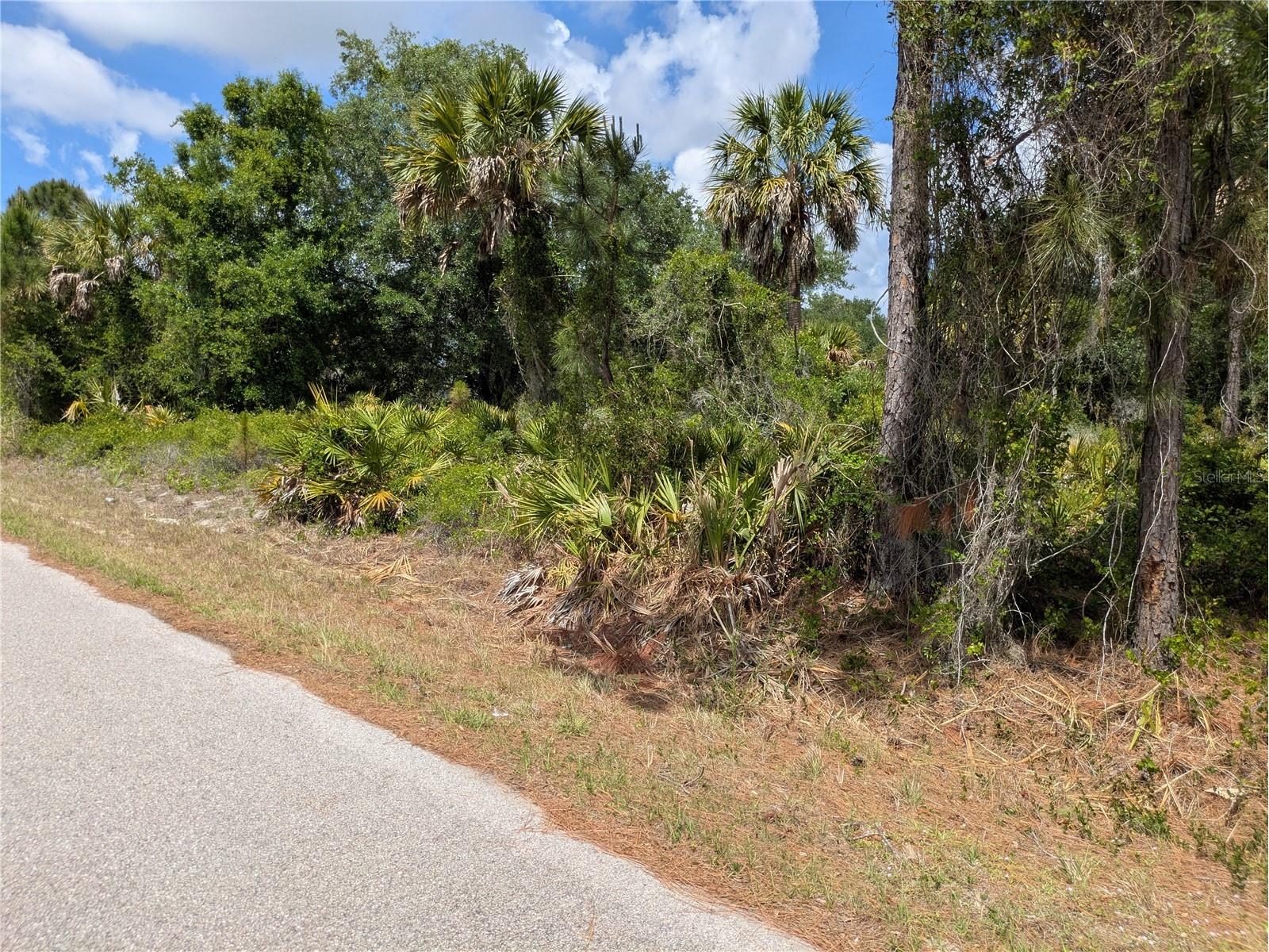 Delight Avenue North Port FL 34288 C7525804 image1