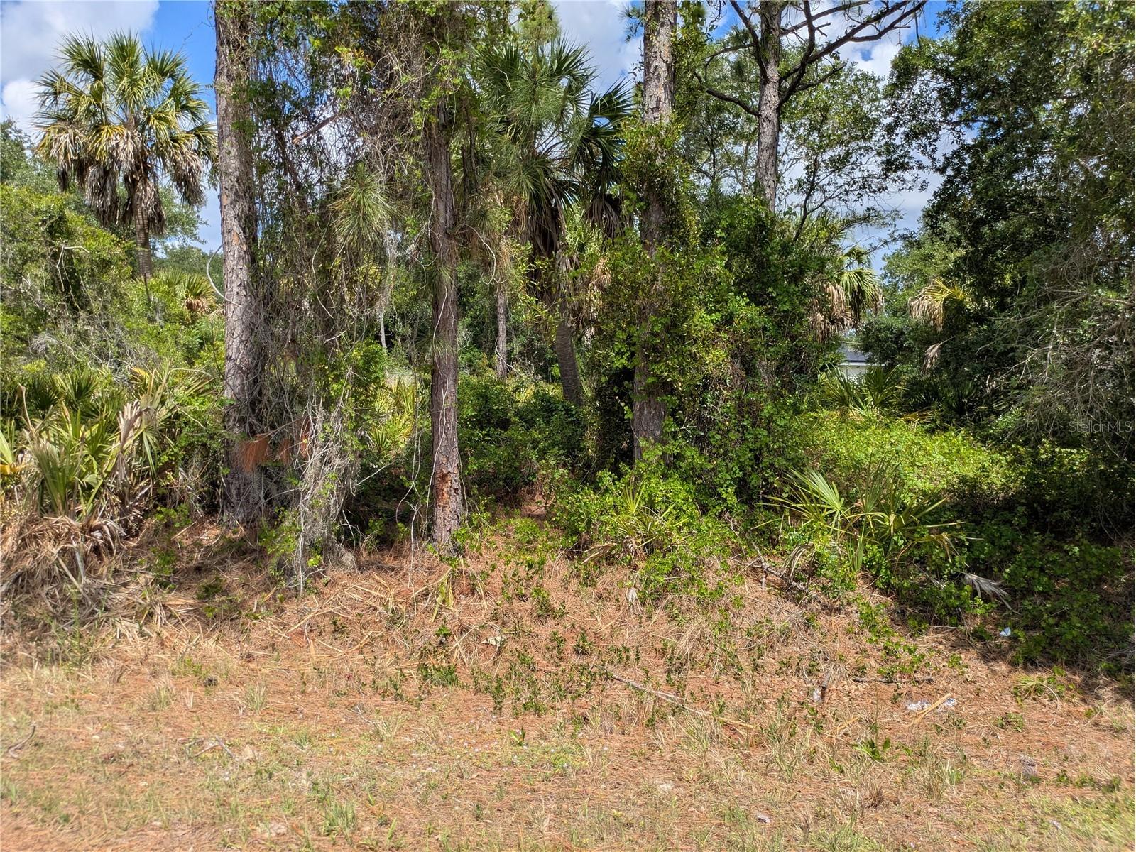 Delight Avenue North Port FL 34288 C7525804 image2