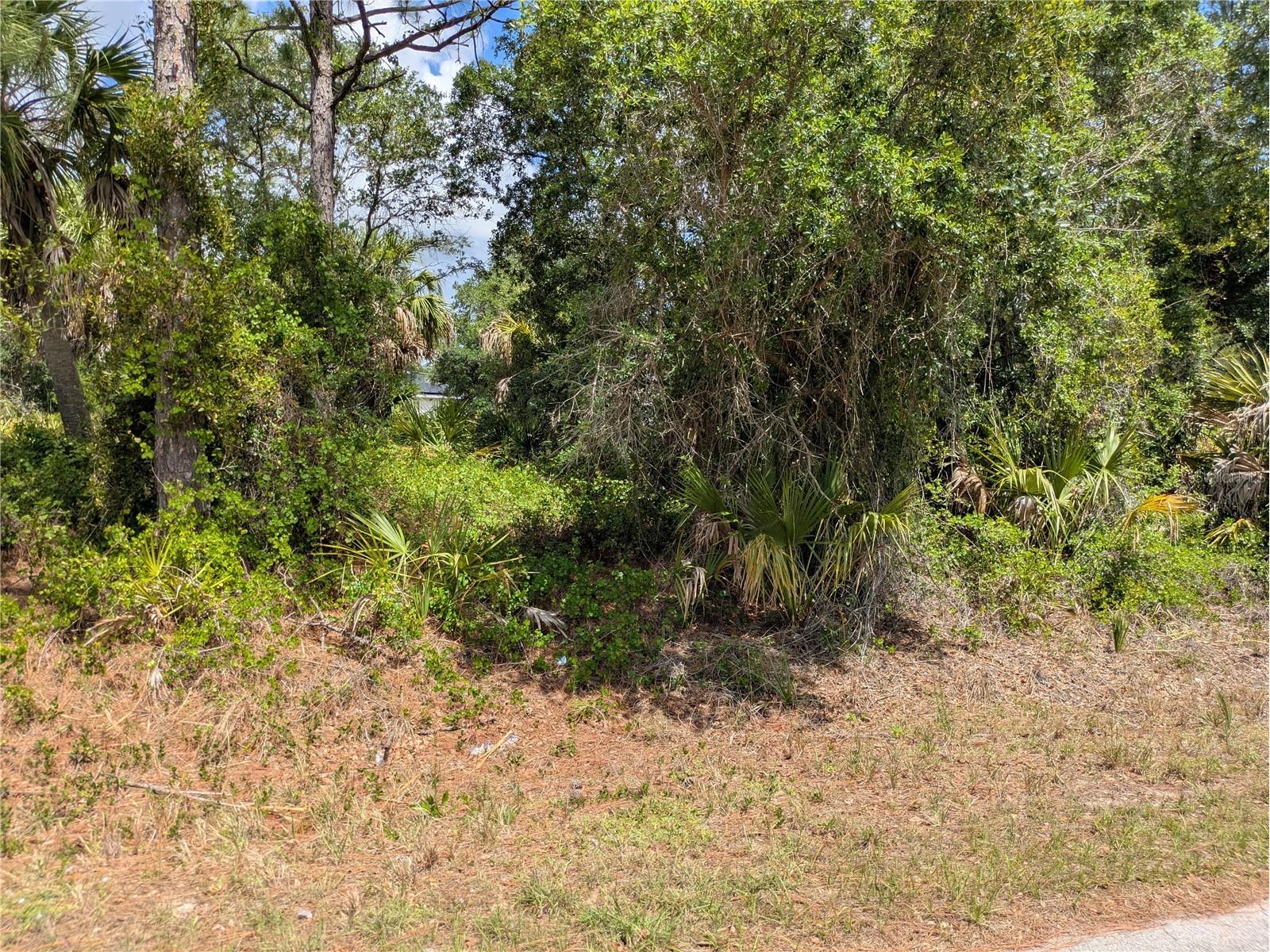 Delight Avenue North Port FL 34288 C7525804 image3