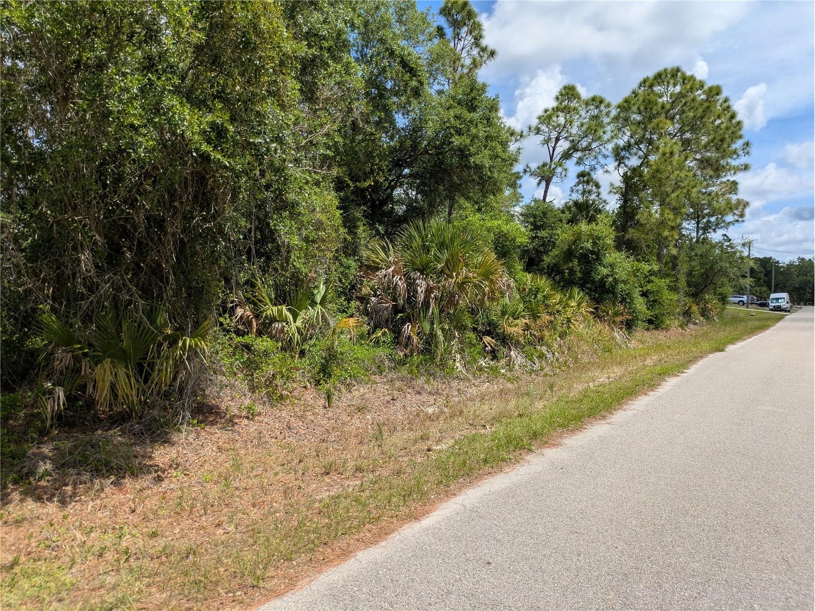 Delight Avenue North Port FL 34288 C7525804 image4