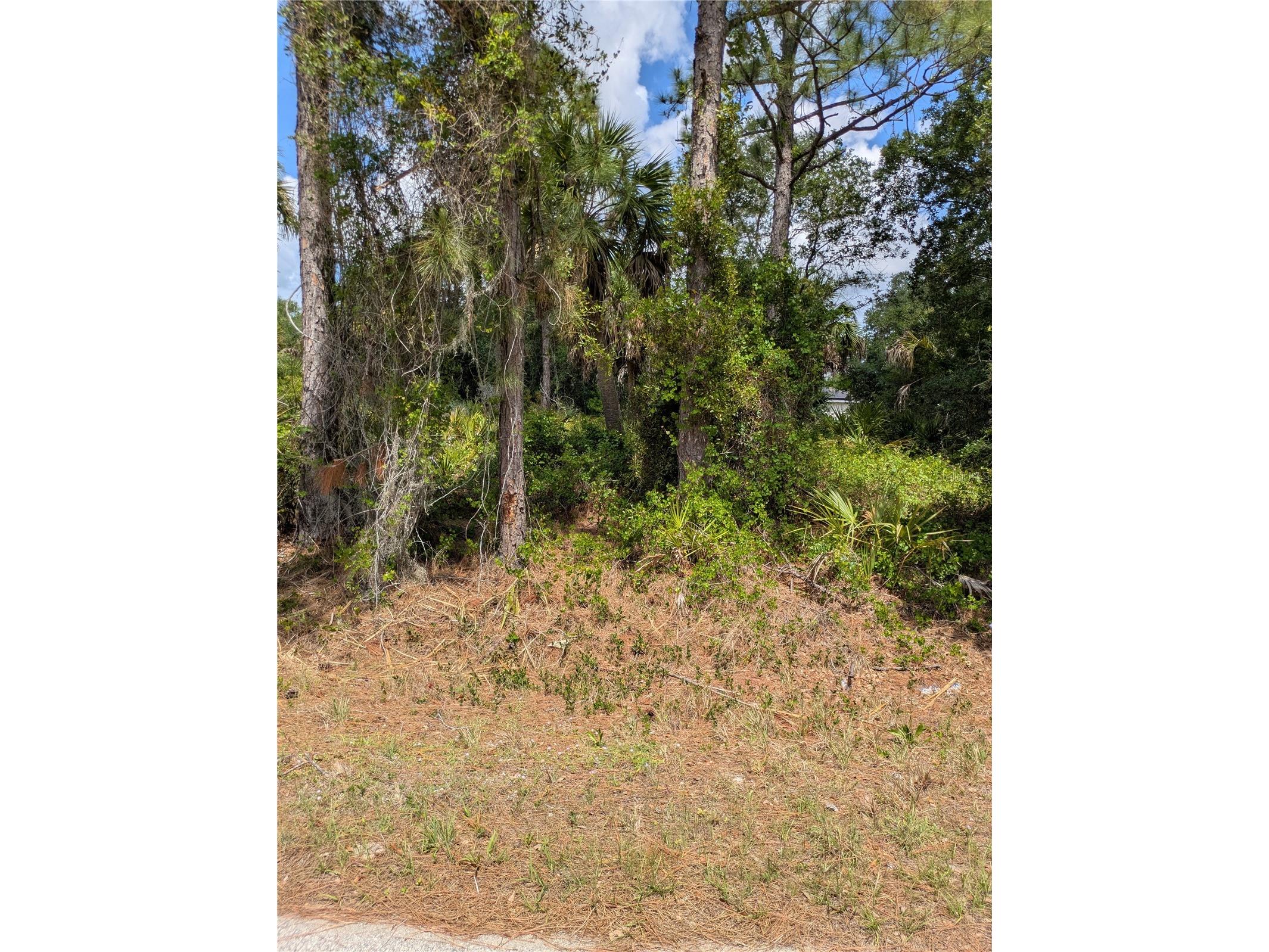 Delight Avenue North Port FL 34288 C7525804 image6