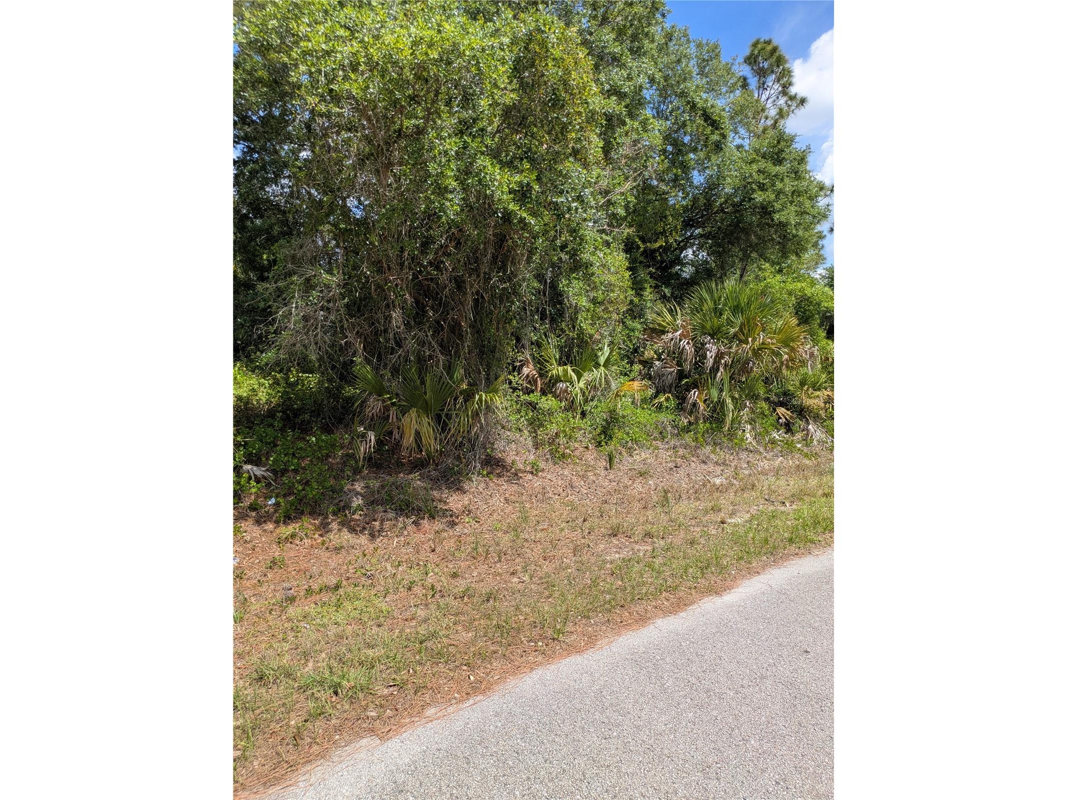 Delight Avenue North Port FL 34288 C7525804 image7