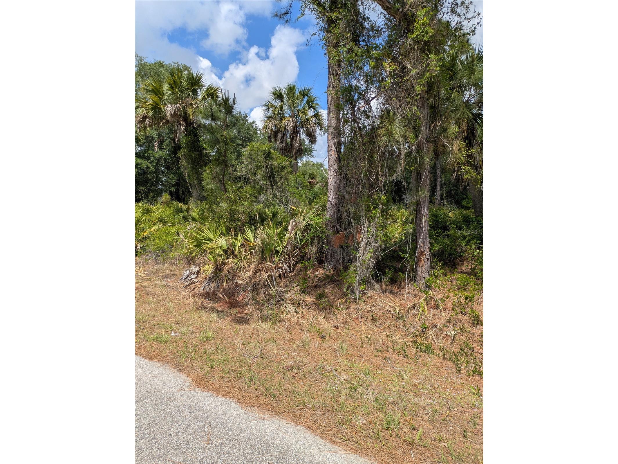Delight Avenue North Port FL 34288 C7525804 image8