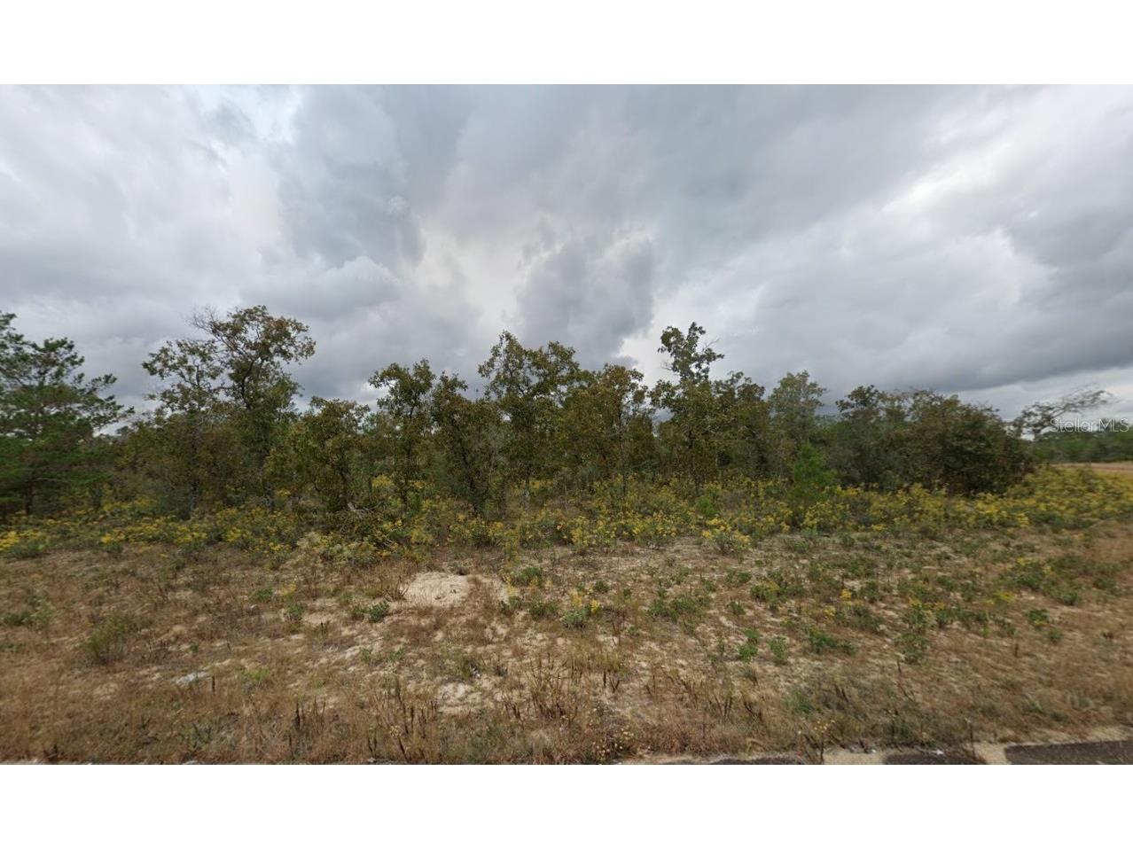 Dellbrook Drive Chipley FL 32428 OK225269 image1