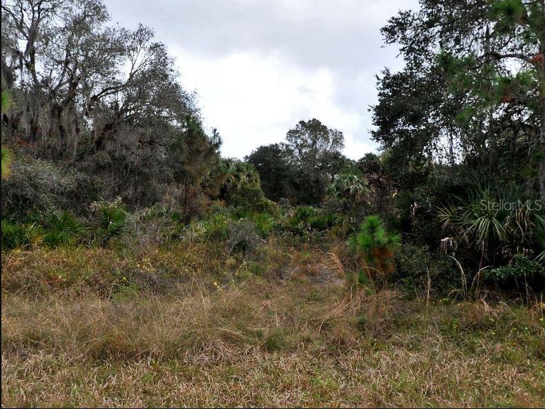 Delmar Drive North Port FL 34291 O6189438 image2