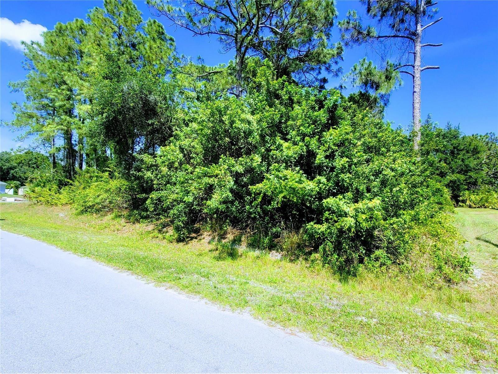 Delmonte Street North Port FL 34288 C7525243 image3