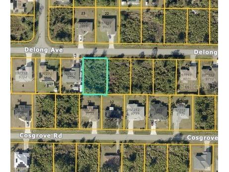 Delong Avenue North Port FL 34291 C7517027 image1
