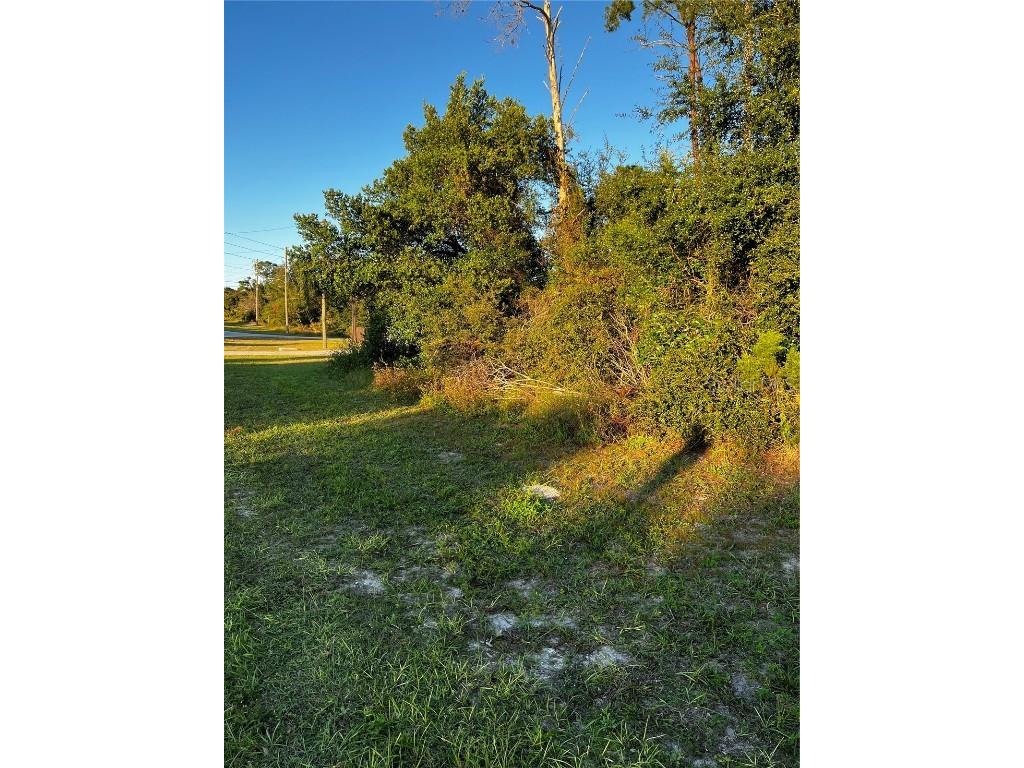 Deltona Spring Hill FL 34606 W7849766 image1