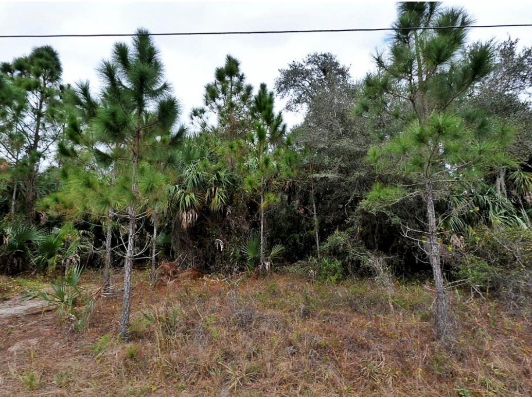 Derrick Street North Port FL 34288 A4675935 image1