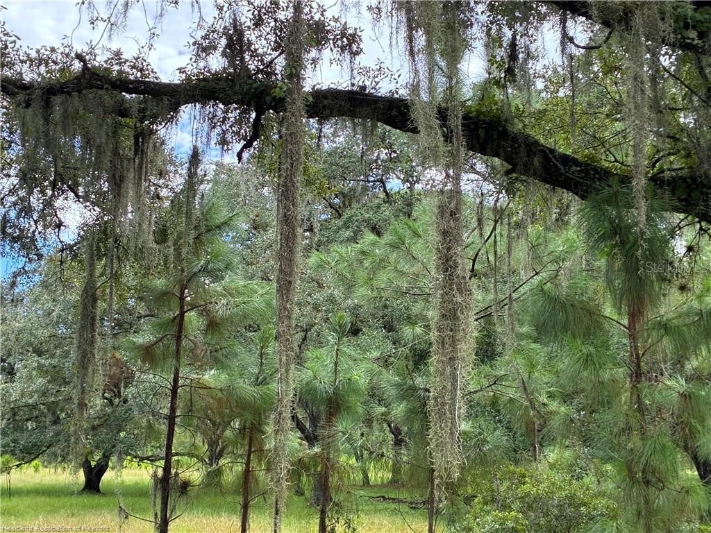 Detjens Dairy Road Venus FL 33960 L4959632 image11
