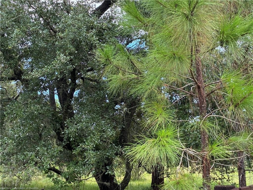 Detjens Dairy Road Venus FL 33960 L4959632 image12