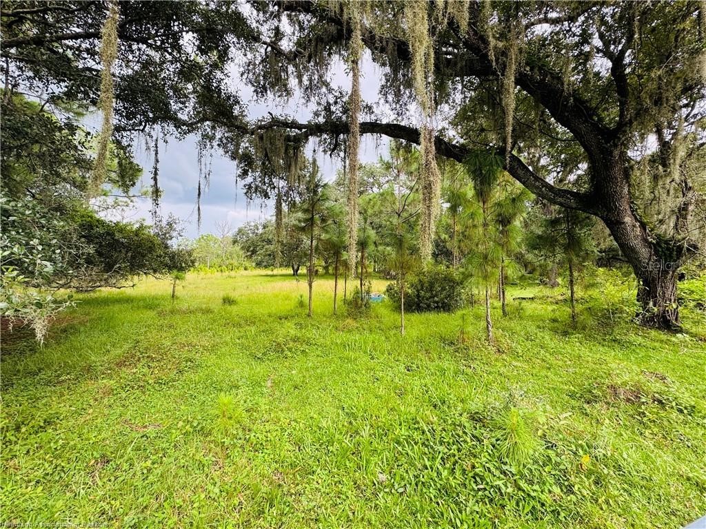 Detjens Dairy Road Venus FL 33960 L4959632 image4
