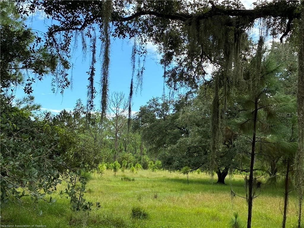 Detjens Dairy Road Venus FL 33960 L4959632 image6