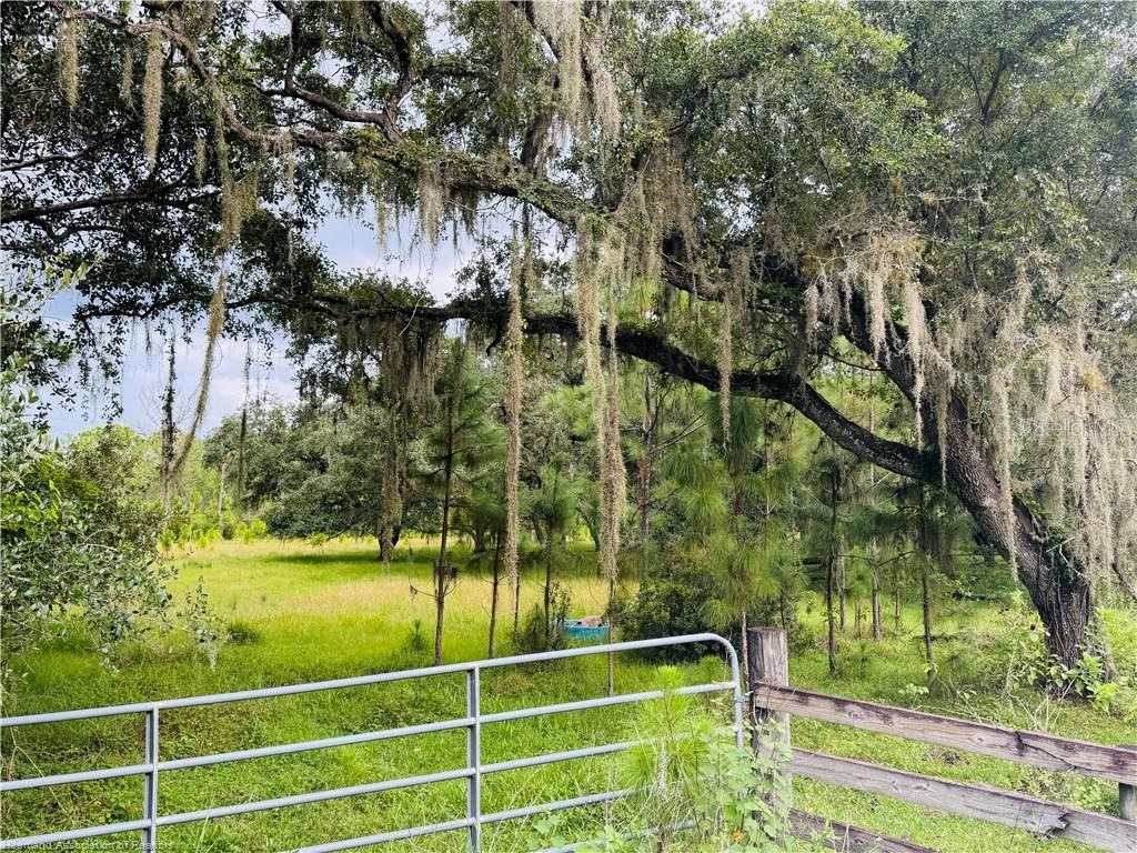 Detjens Dairy Road Venus FL 33960 L4959632 image8