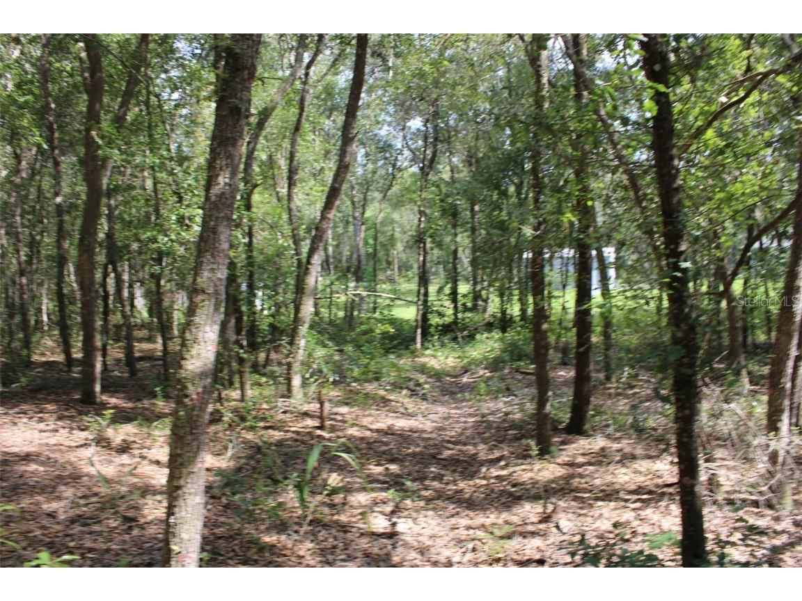 Detroit Avenue Orange City FL 32763 V4931647 image1