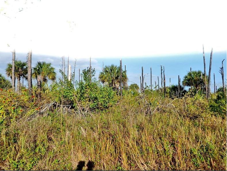 Devonia Circle North Port FL 34288 O6185814 image2