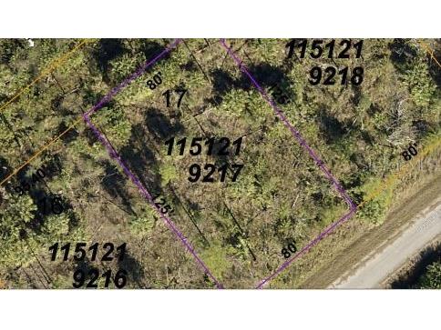 Devonia Circle North Port FL 34288 O6185814 image3