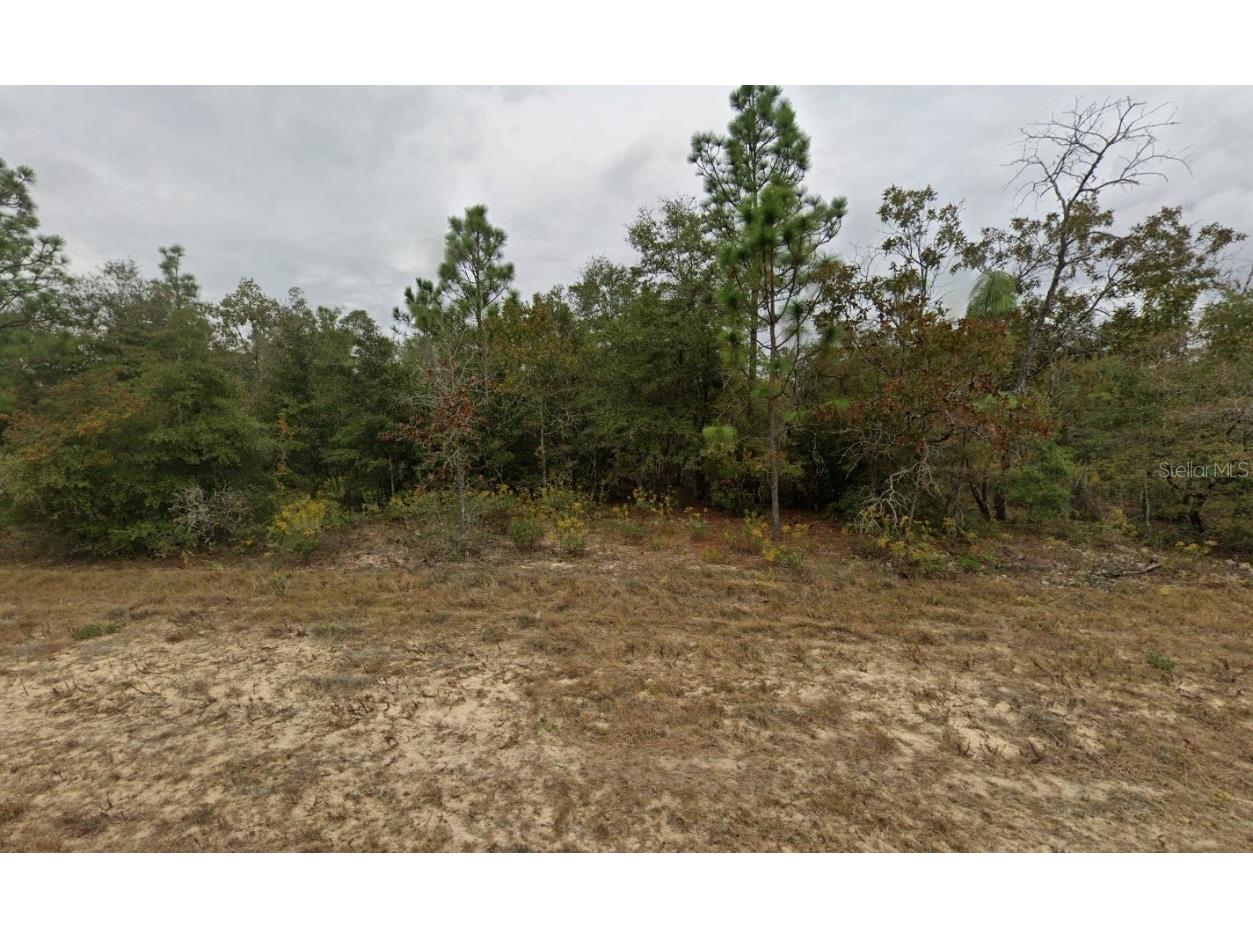 Devonshire Drive Chipley FL 32428 OK225268 image1