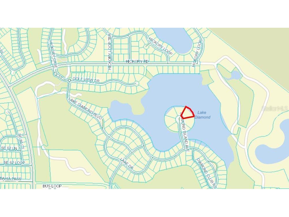 Diamond Island Ave Ocala FL 34472 - LAKE DIAMOND OM677519 image1