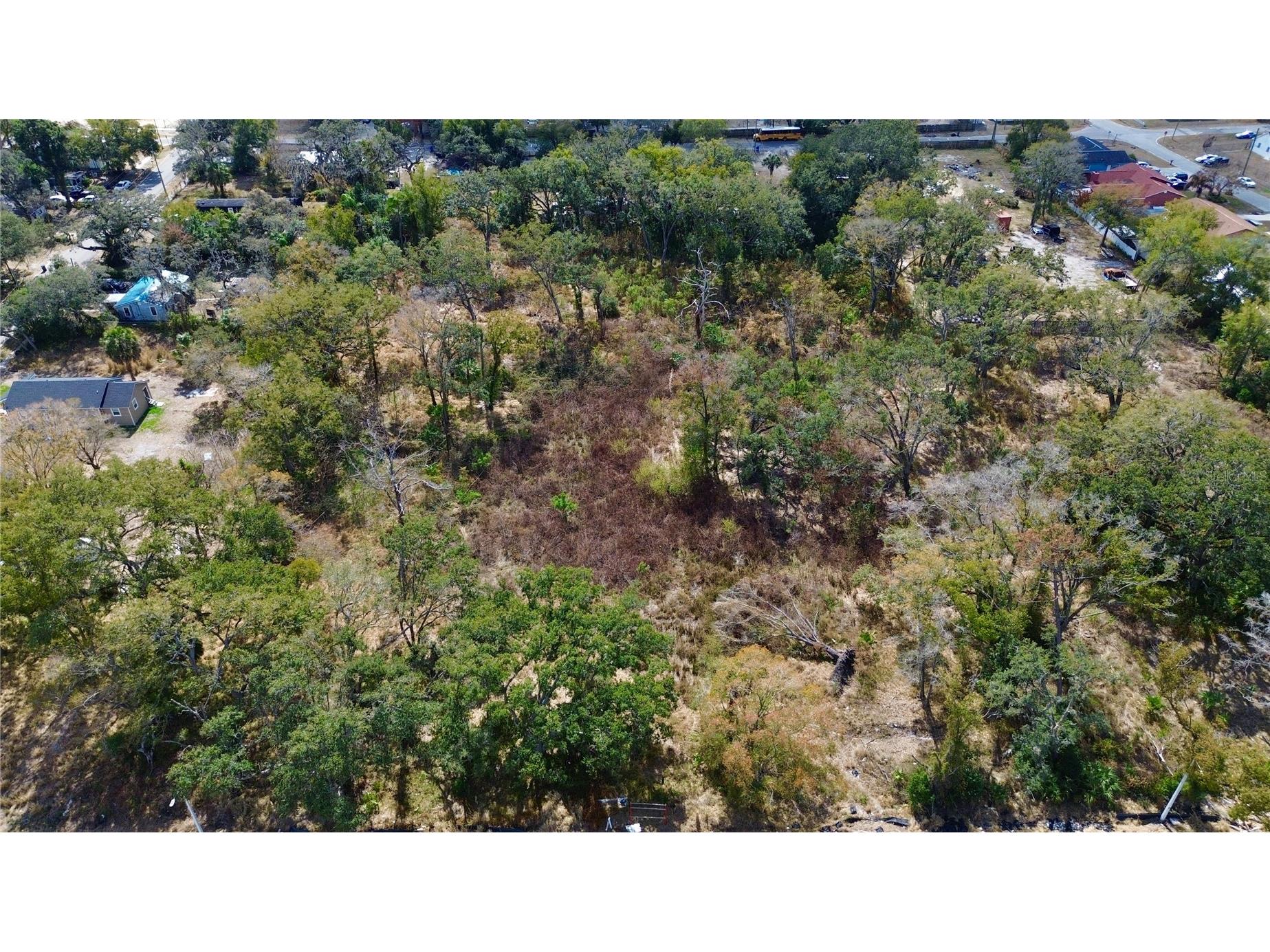 Diana Street Tampa FL 33610 TB8476048 image4