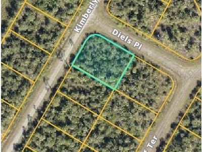 Diels Place North Port FL 34288 C7515573 image1