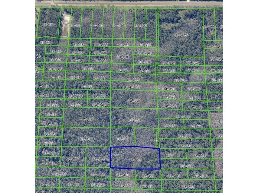 Dill Road Christmas FL 32709 O6373413 image1