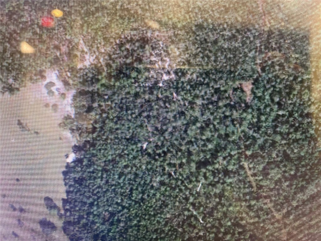 Dill Road Orlando FL 32820 O6111739 image1