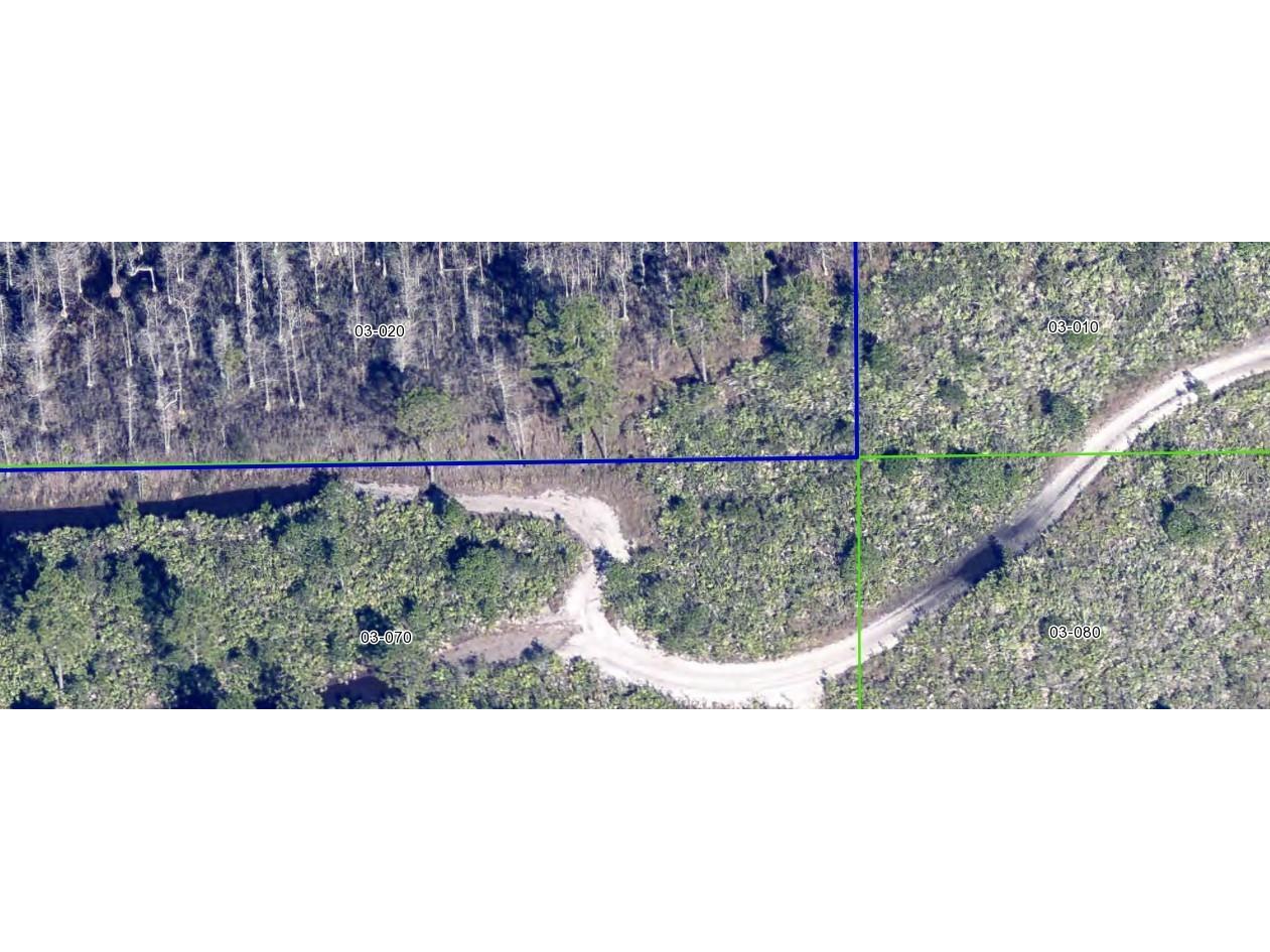 Dill Road Orlando FL 32820 U8232955 image1