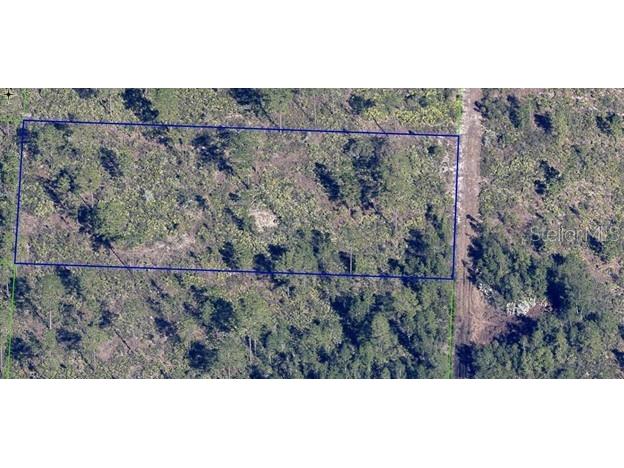 Dill Road Orlando FL 32820 L4958334 image5
