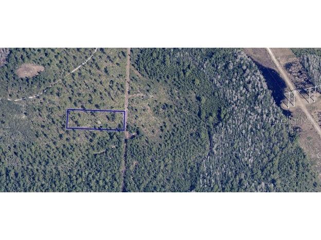 Dill Road Orlando FL 32820 L4958334 image7