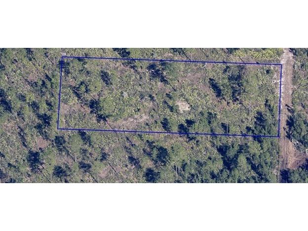 Dill Road Orlando FL 32820 L4958334 image8