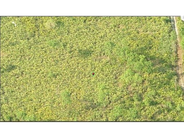 Dill Road Orlando FL 32820 O6231640 image3