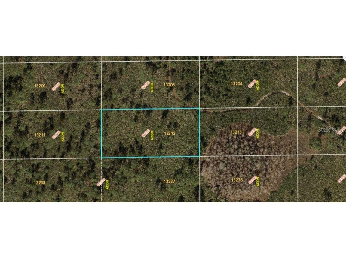 Dill Road Orlando FL 32820 O6231645 image2