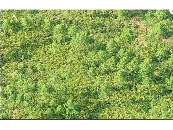 Dill Road Orlando FL 32820 O6231645 image3