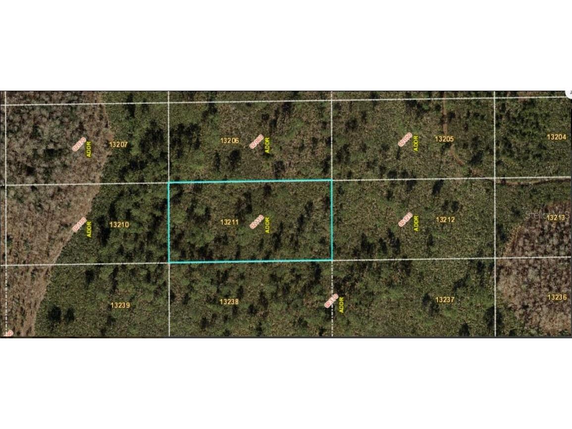 Dill Road Orlando FL 32820 O6231990 image2