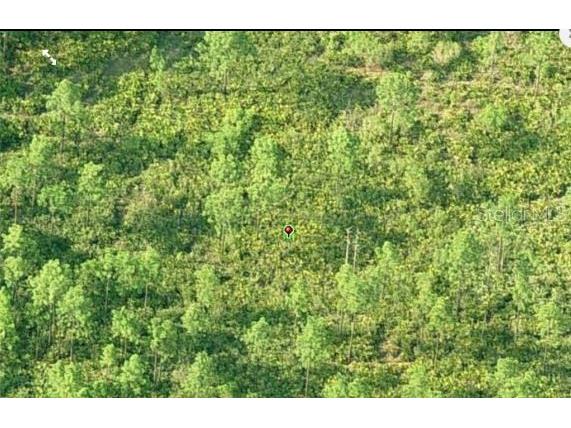 Dill Road Orlando FL 32820 O6231990 image3