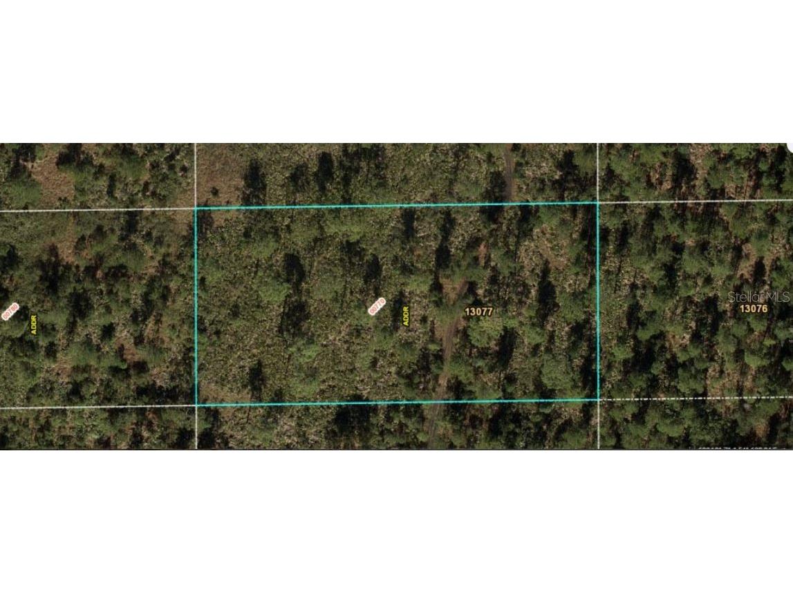 Dill Road Orlando FL 32820 O6231991 image2