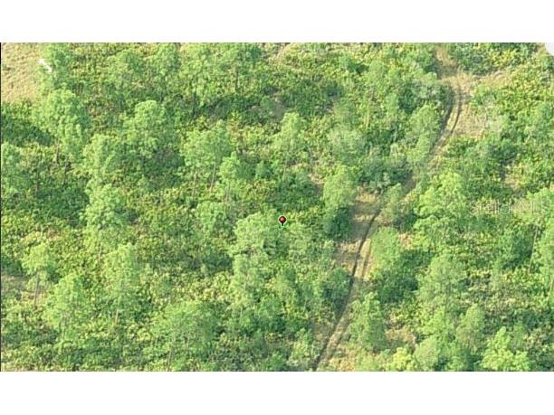 Dill Road Orlando FL 32820 O6231991 image3