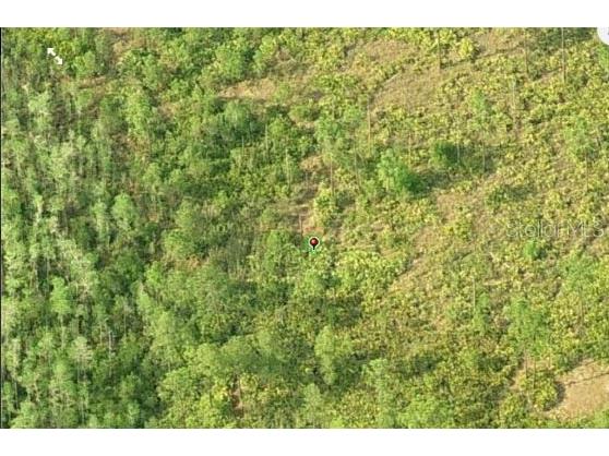 Dill Road Orlando FL 32820 O6232002 image3