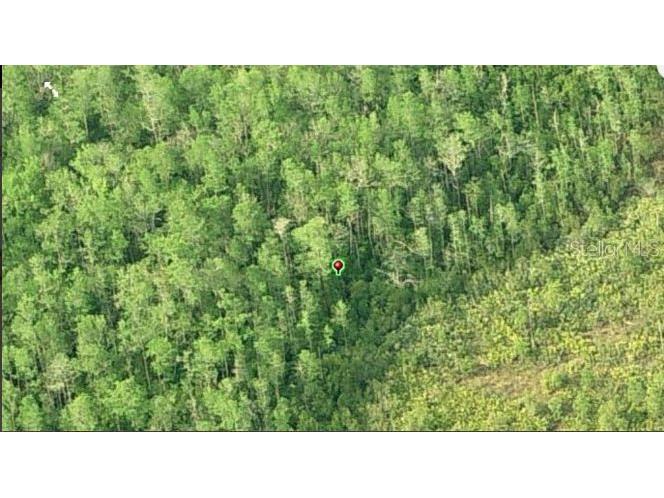 Dill Road Orlando FL 32820 O6232008 image3