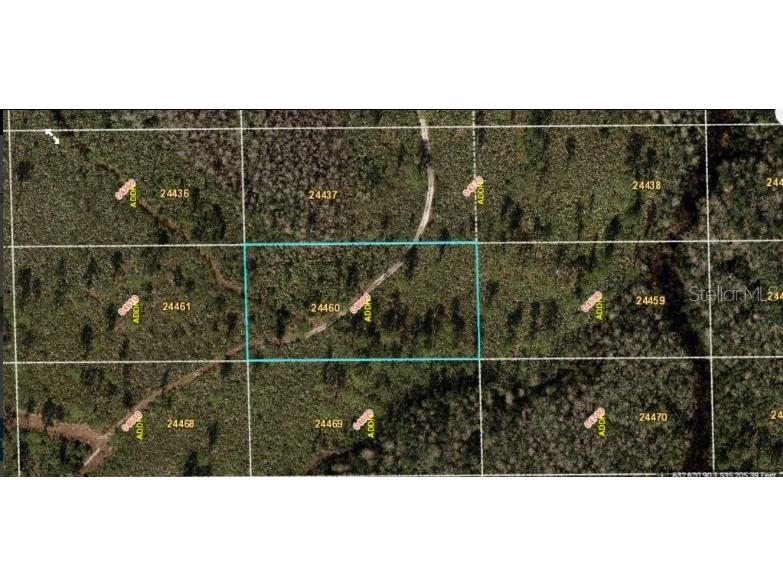 Dill Road Orlando FL 32820 O6233795 image2